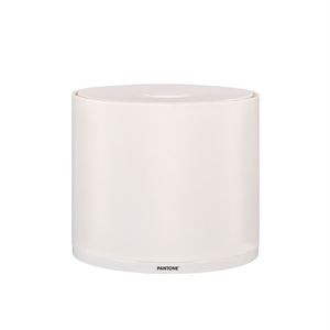 Pantone Mintaka 25 Skærm Hvid